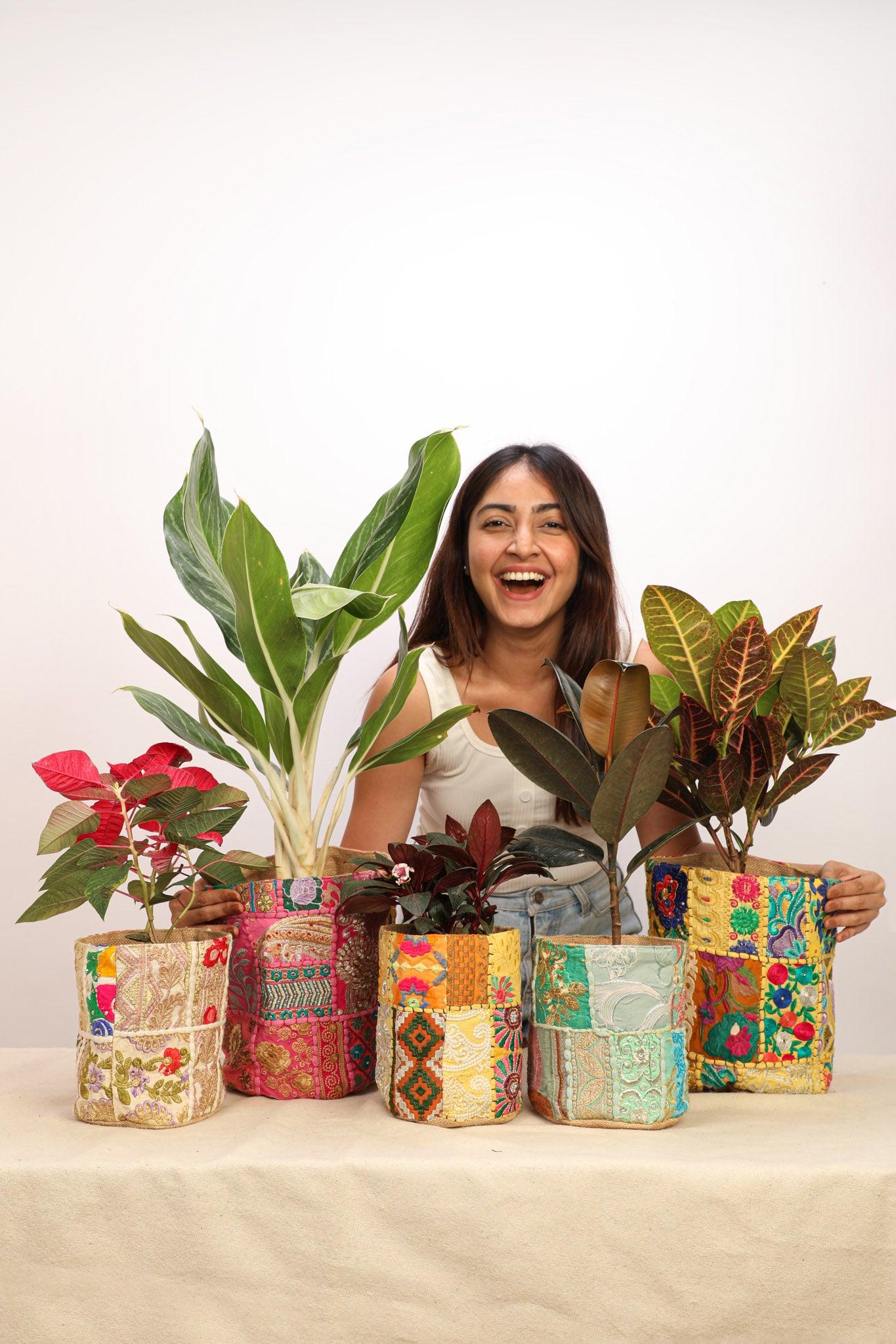 Pot Covers – Stylish Homes for Your Plants